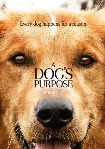 a dog s purpose ดู หนัง part